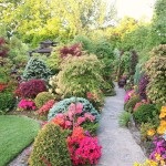 English Garden (48 fénykép) Videó útmutatást, hogy a saját kezébe, főleg a kertépítés (különösen) English Garden (48 fénykép) Videó útmutatást, hogy a saját kezébe, főleg a kertépítés