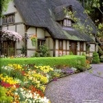 English Garden (48 fénykép) Videó útmutatást, hogy a saját kezébe, különösen a tájképi kert (saját) English Garden (48 fénykép) Videó útmutatást, hogy a saját kezébe, főleg a kertépítés