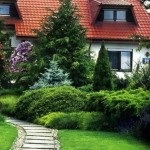 English Garden (48 fénykép) Videó útmutatást, hogy a saját kezébe, főleg a kertépítés (kéz) English Garden (48 fénykép) Videó útmutatást, hogy a saját kezébe, főleg a kertépítés