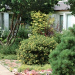 English Garden (48 fénykép) Videó útmutatást, hogy a saját kezébe, főleg a kertépítés (különösen) English Garden (48 fénykép) Videó útmutatást, hogy a saját kezébe, főleg a kertépítés