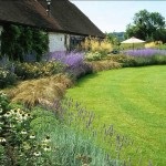 English Garden (48 fénykép) Videó útmutatást, hogy a saját kezébe, főleg a kertépítés (kéz) English Garden (48 fénykép) Videó útmutatást, hogy a saját kezébe, főleg a kertépítés