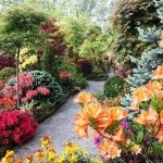 English Garden (48 fénykép) Videó útmutatást, hogy a saját kezébe, különösen a tájképi kert (angol) English Garden (48 fénykép) Videó útmutatást, hogy a saját kezébe, főleg a kertépítés