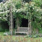 English Garden (48 fénykép) Videó útmutatást, hogy a saját kezébe, főleg a kertépítés (különösen) English Garden (48 fénykép) Videó útmutatást, hogy a saját kezébe, főleg a kertépítés