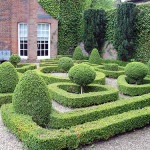 English Garden (48 fénykép) Videó útmutatást, hogy a saját kezébe, főleg a kertépítés (kéz) English Garden (48 fénykép) Videó útmutatást, hogy a saját kezébe, főleg a kertépítés