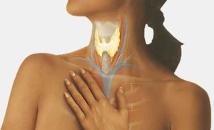 Autoimmun hipotireózis - következtében autoimmun thyroiditis (pajzsmirigy hormon) Autoimmun pajzsmirigy - következménye az autoimmun pajzsmirigygyulladás