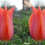 Blog fotós kezelés táj photoshop (overlay Overlay Overlay) Blog fotós kezelés táj photoshop