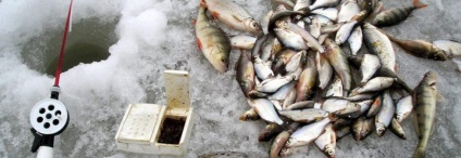 Amire szükség van a jég halászat videó utasítást és tanácsot halászok