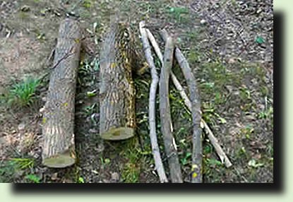 Fa ember a kertben saját kezűleg, amely a saját kezét () Fa ember a kertben saját kezűleg, amely a saját kezét