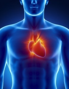 Diéta után CABG megfelelő diéta után koszorúér-bypass műtéten (CABG) a programban (bypass) Diéta után CABG megfelelő diéta után koszorúér-bypass műtéten (CABG) a programban