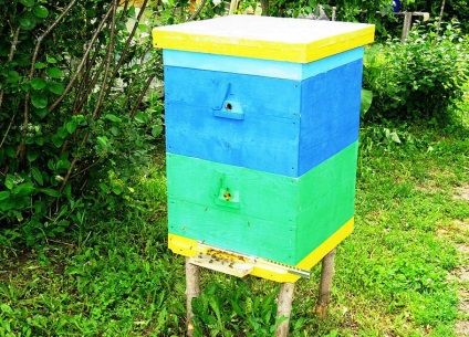 Dvuhmatochnoe méhek méhészet tartalom két dáma