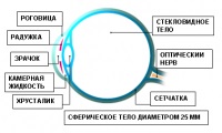 Ezek szeme előtt, mint a - miért - lásd Bazhen női magazin