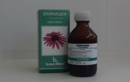 Echinacea leírás, használati és használata gyermekek, ru-babyhealth