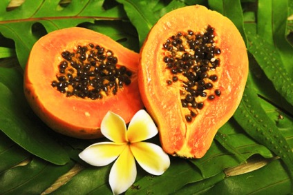 Fruit papaya fotó, hasznos tulajdonságok, kár, hogy az étkezési