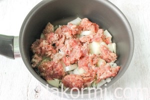 Fészkek húst a sütőben recept lépésről lépésre fotók, főzés titkok