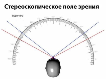 Érdekes tények az emberi szem (érdekes) Érdekes tények az emberi szem