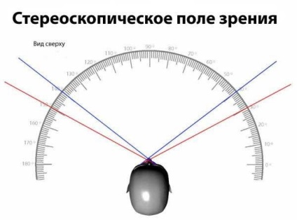 Érdekes tények az emberi szem