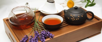 Ivan tea hasznos tulajdonságok és ellenjavallatok