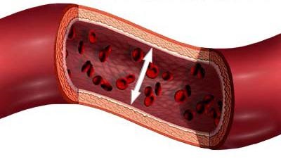 A vért a artériák vénájába belép a fiziológia vérkeringés