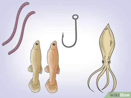 Hogyan lehet elkapni a lepényhal