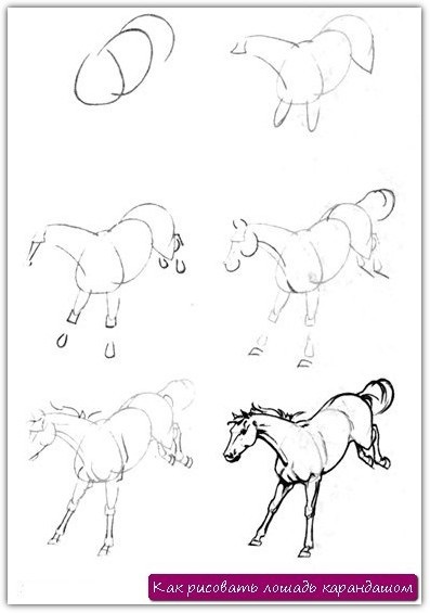 Hogyan kell felhívni a ló lépésről lépésre egy ceruzával, festék, ceruzák, markerek