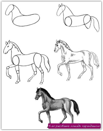 Hogyan kell felhívni a ló lépésről lépésre egy ceruzával, festék, ceruzák, markerek