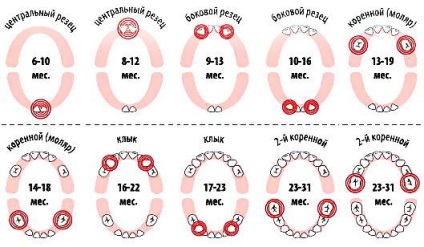 Hogyan enyhíti a fájdalmat a fogzás a csecsemők, gondozása csecsemők (fájdalom) Hogyan enyhíti a fájdalmat a fogzás a csecsemők, gondozása csecsemők