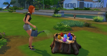Hogyan, hogy a vizsgálaton rostoman a Sims 4 - mindezt egy sor játékot a The Sims (bab) Hogyan, hogy a vizsgálaton rostoman a Sims 4 - minden a Sims játék sorozat