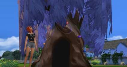 Hogyan, hogy a vizsgálaton rostoman a Sims 4 - minden a Sims játék sorozat