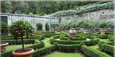 Hogyan lehet megoldani a problémákat a segítségével a kert kerttervezés