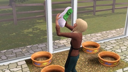 Hogyan válhat rostomanom a Sims 3 - rostomany, plantsimy, Sims-növények