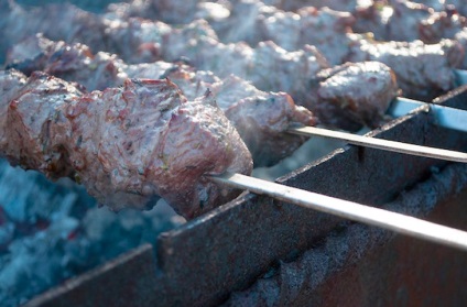 Hogyan válasszuk ki a megfelelő grill topus - a legérdekesebb az interneten