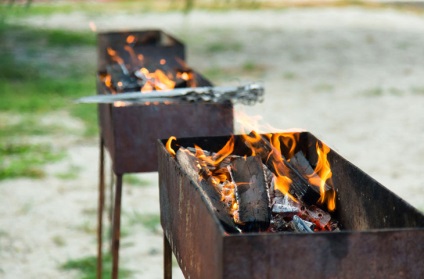 Hogyan válasszuk ki a megfelelő grill topus - a legérdekesebb az interneten