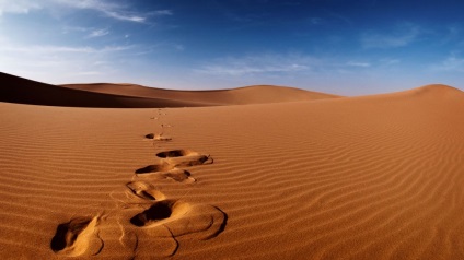 Hogyan lehet túlélni a sivatagi