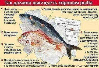 Hogyan kell tárolni a szárított hal 5 módszerekkel