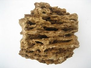 Homokkő tulajdonságok, alkalmazások és fajok (fotó) (homokkő) Homokkő tulajdonságok, alkalmazások és fajok (fotó)