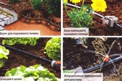Csepegtető öntözés technológia (technológia) Csepegtető öntözés öntözéstechnika
