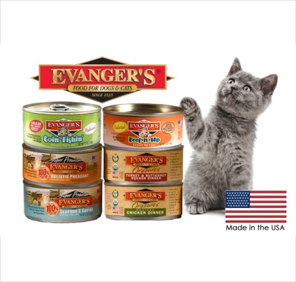 Cat érzékenység - körülbelül macskák (macska) Cat érzékenység - macskákról
