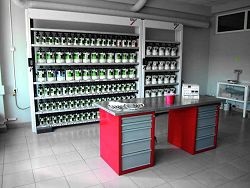 Laboratóriumi színválasztékban 100% -os penetráció színes (Moszkva) Laboratórium a kiválasztott színek 100% -os találati színű