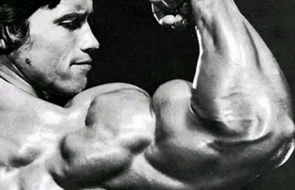 Kevéssé ismert tény Arnold Schwarzenegger (20 fotó) - triniksi