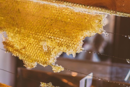 Mézzel vagy cukorral, ha valóban hasznos méz magіloўskі regіon
