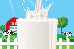 Tej egészségügyi termék vagy provokátor betegség előnyei és hátrányai a tej