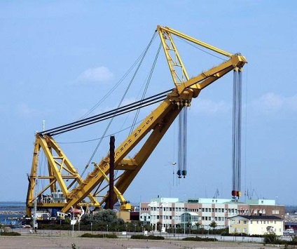 Szállítása a legnagyobb port daru (34 fotó) - triniksi