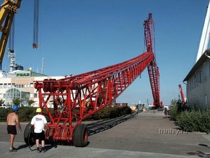 Szállítása a legnagyobb port daru (34 fotó) - triniksi