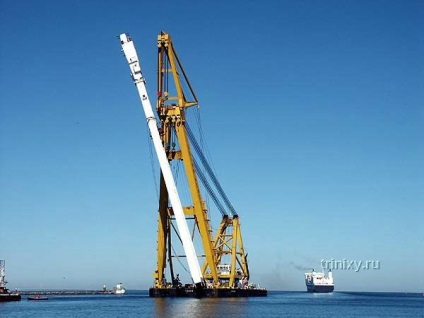 Szállítása a legnagyobb port daru (34 fotó) - triniksi (név) Szállítása a legnagyobb port daru (34 fotó) - triniksi