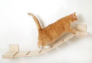 Polc, eredeti macska mászóka