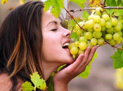Használata szőlőmag - Vitrinek női boldogság