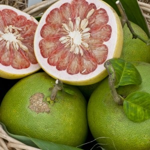 Pomelo hasznos tulajdonságai gyümölcs, élelmiszer és egészség (grapefruit) Citrancs hasznos tulajdonságai gyümölcs, élelmiszer és egészség