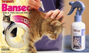 Alkalmazása hatékony gyógyszerek, kábítószerek kezelésére macskák ellen bolhák és kullancsok