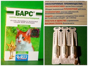 Alkalmazása hatékony gyógyszerek, kábítószerek kezelésére macskák ellen bolhák és kullancsok