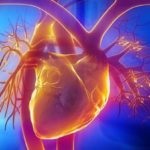 Természetes statinok a koleszterinszint egészséges étel (természetes sztatinok a koleszterin-atherosclerosis kezelésére képes csökkenteni az élelmiszer-termékek helyett természetes helyettesítője milyen) Természetes statinok a koleszterinszint egészséges étel